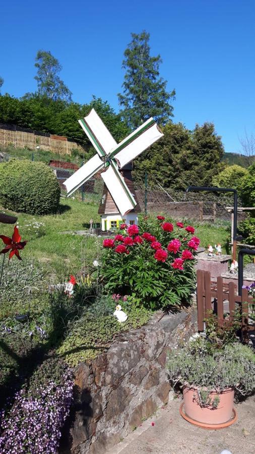 Haus Wiesenblick Walkenried Dış mekan fotoğraf